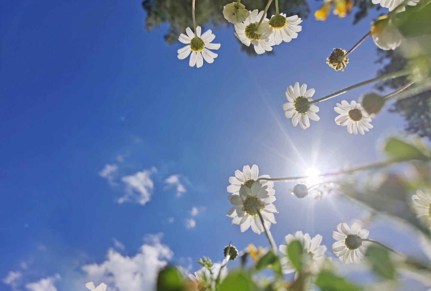 Der Frühling kommt & die Solarsaison startet ☀️🌸