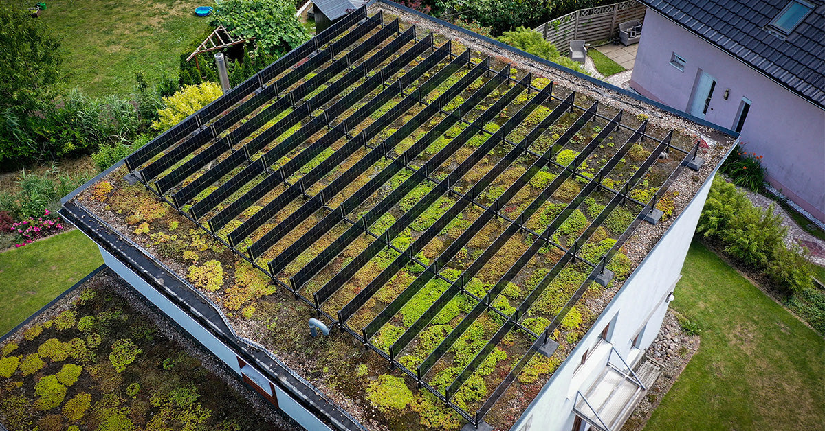 SOLYCO SOLon vs. klassische Photovoltaik auf dem Gründach